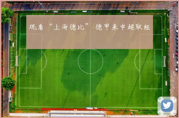 观看“上海德比” 德甲来中超取经