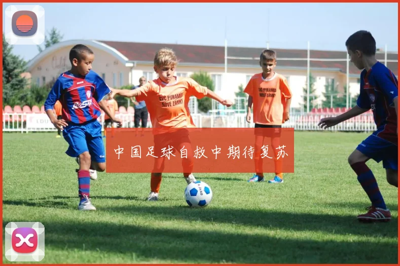 中国足球自救中期待复苏